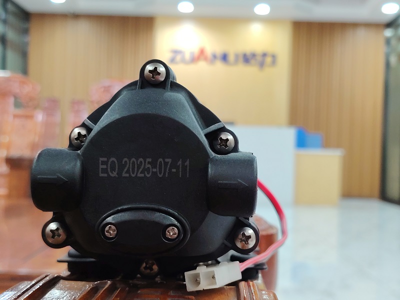 Zuanli Booster Pumps Loaded: Tarting the Typhoon!