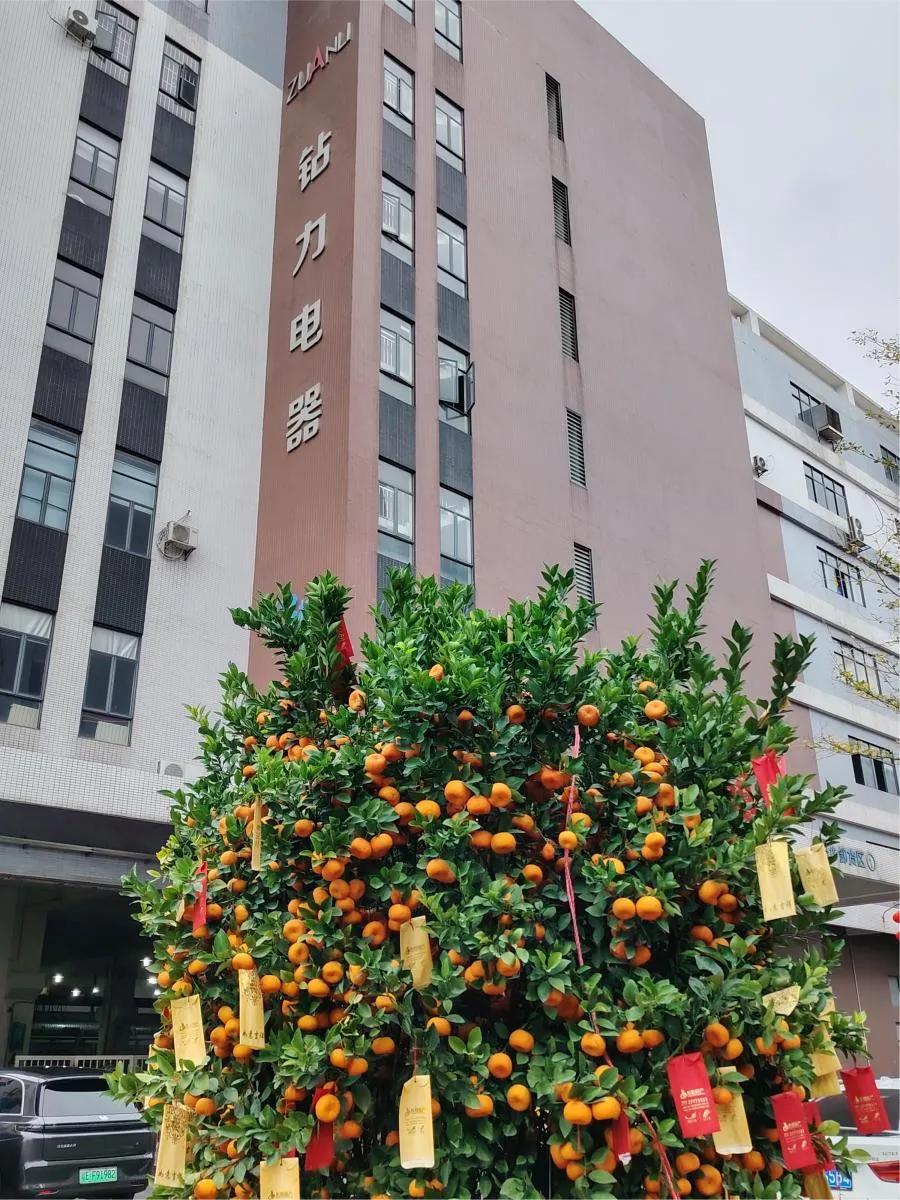 Eerste verzending na Chinees Nieuwjaar: omgekeerde osmosepompen met hoog koppel Ga naar de overzeese markt-zuanli ro-pomp!